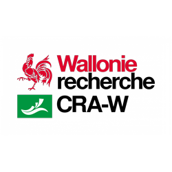 Logo CRA-W wallonie recherche